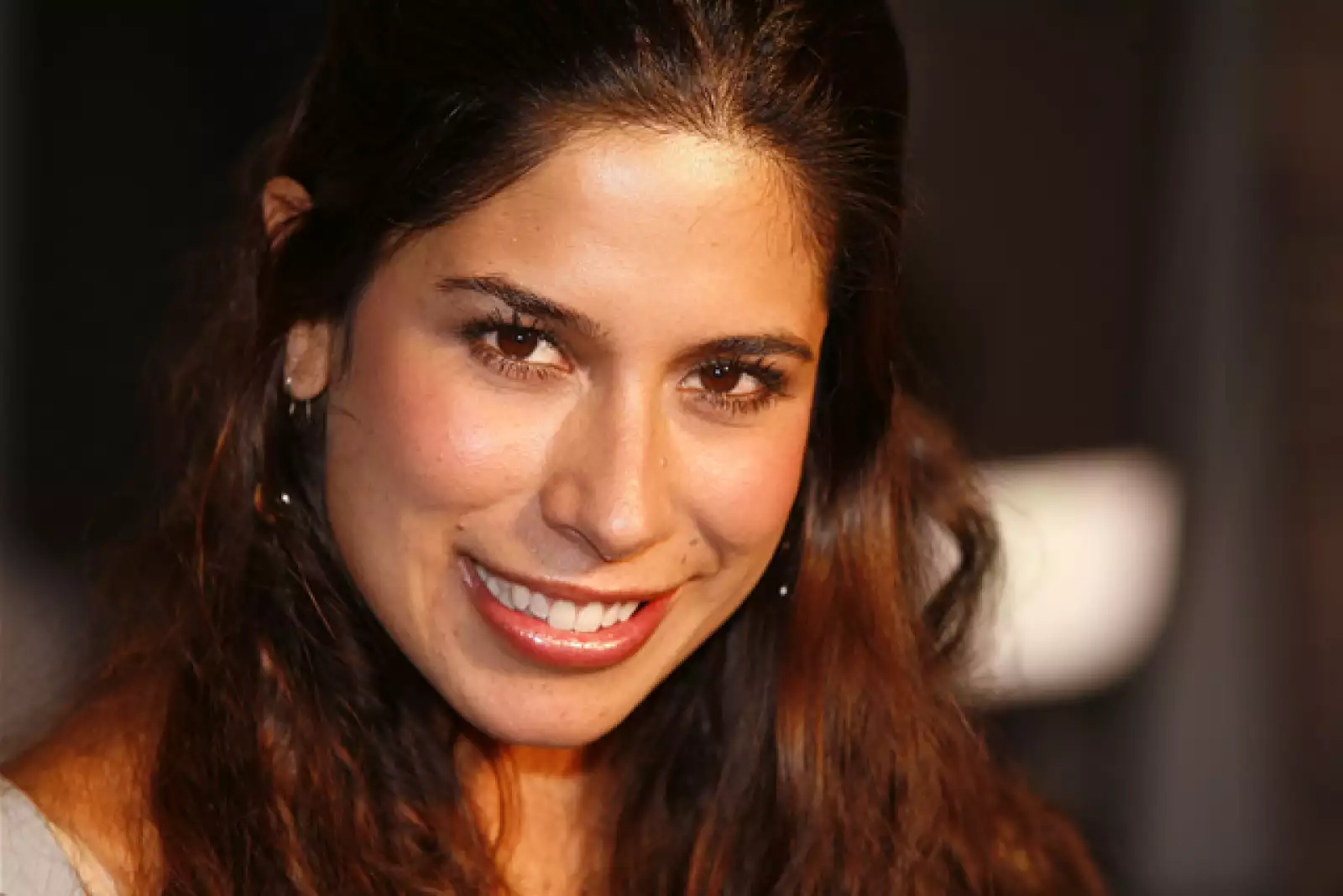 Premier el libro de piedra