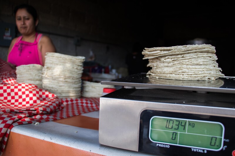 Precio de la tortilla insumos