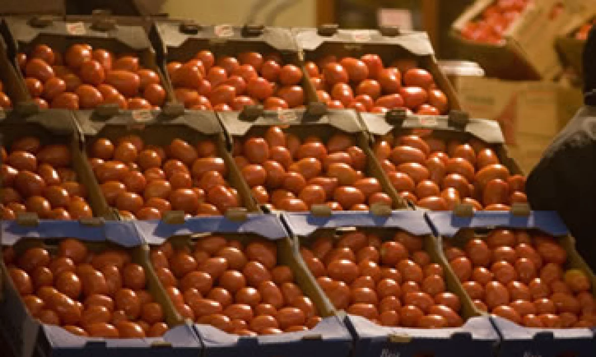 La Sagarpa dijo que trabaja en industrializar el producto ante las medidas de EU. (Foto: AP)