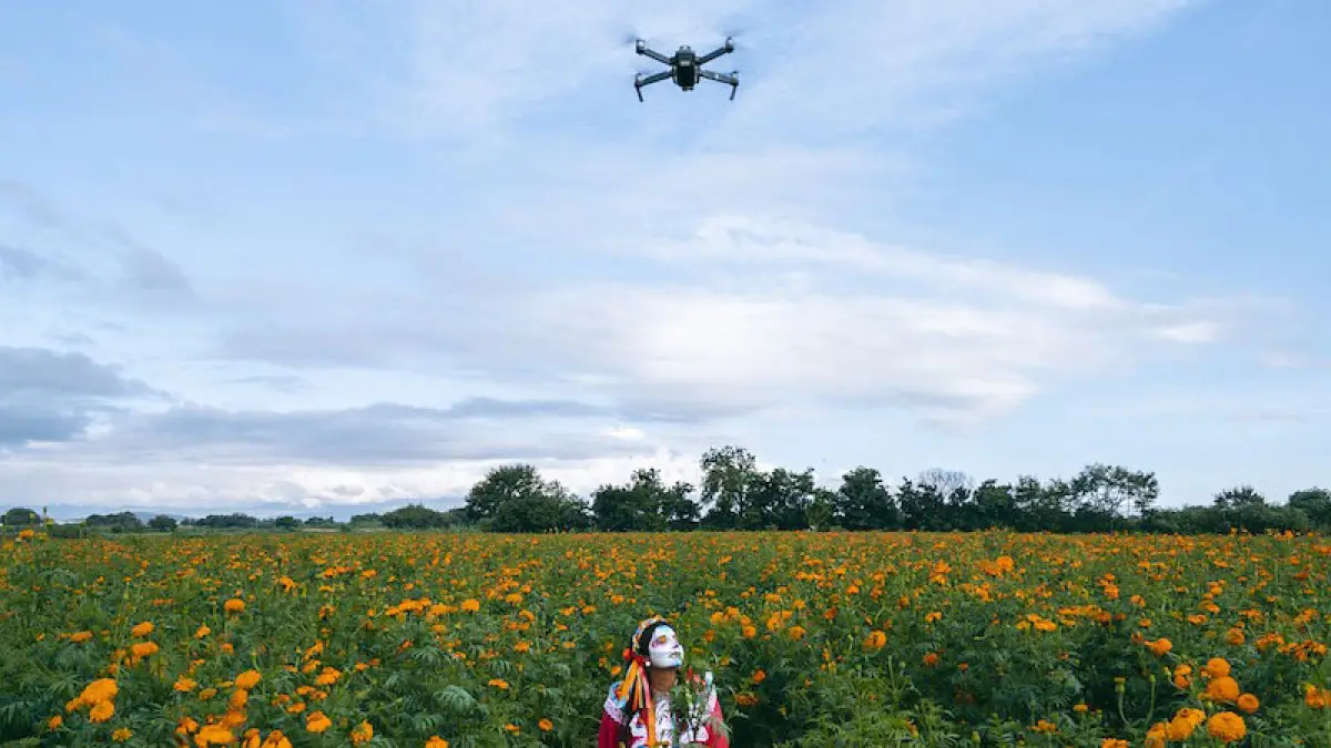 DJI