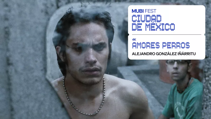 mubi-fest-2025