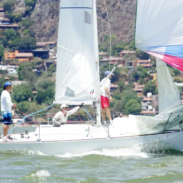 Copa Palacio 2017 
