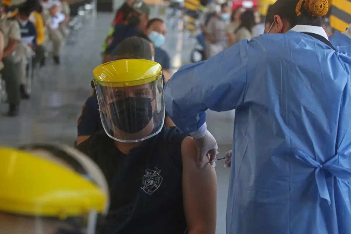 AMIS pandemia seguros COVID