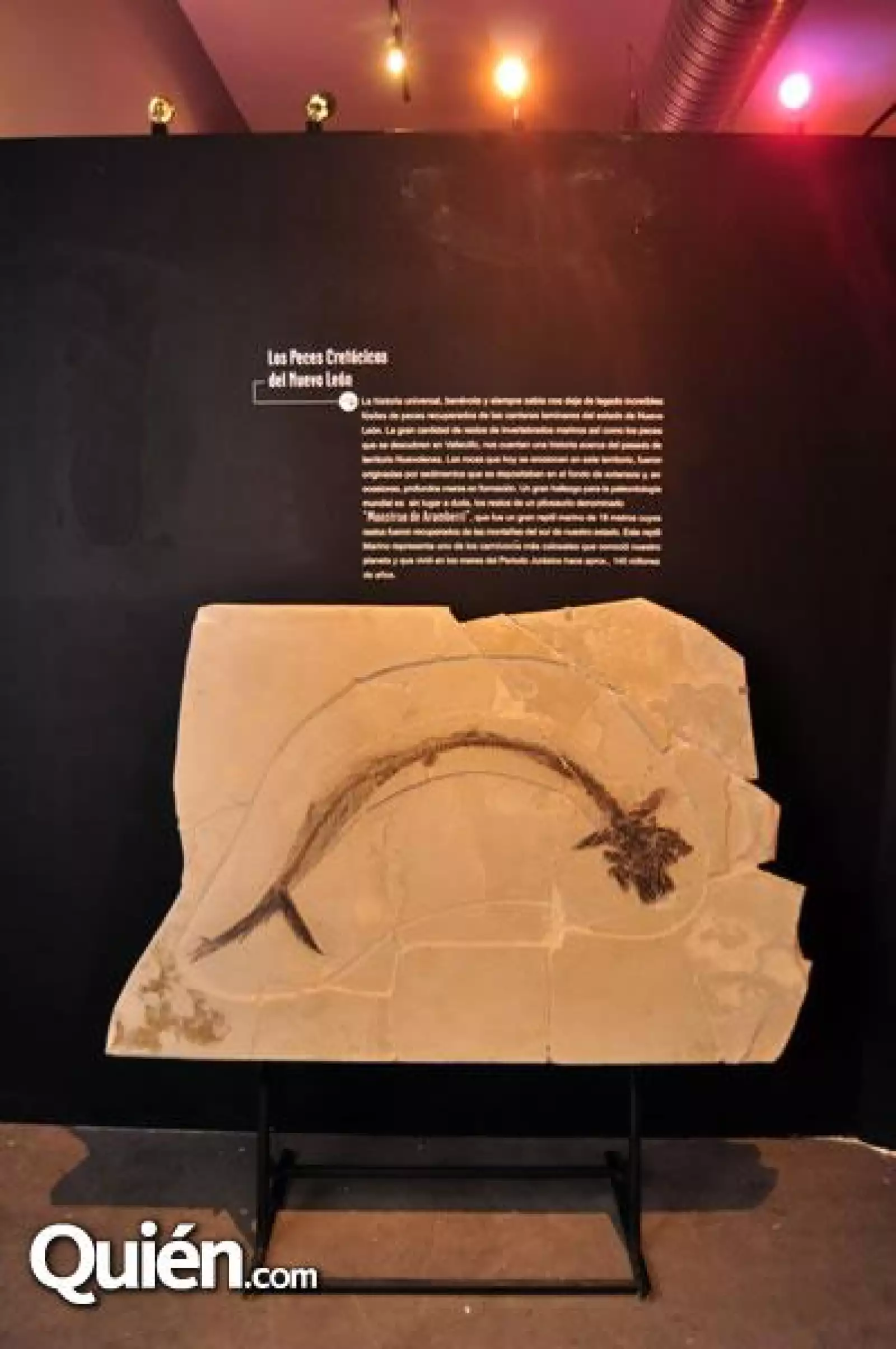 Inauguraci?el Museo El Centenario