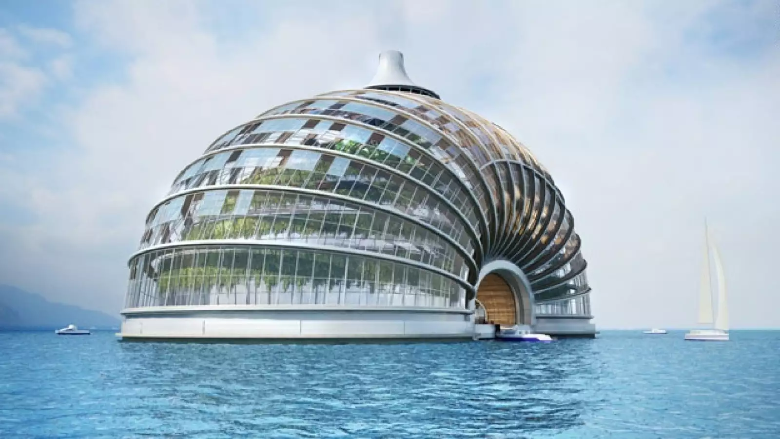 arca ecológica gal08