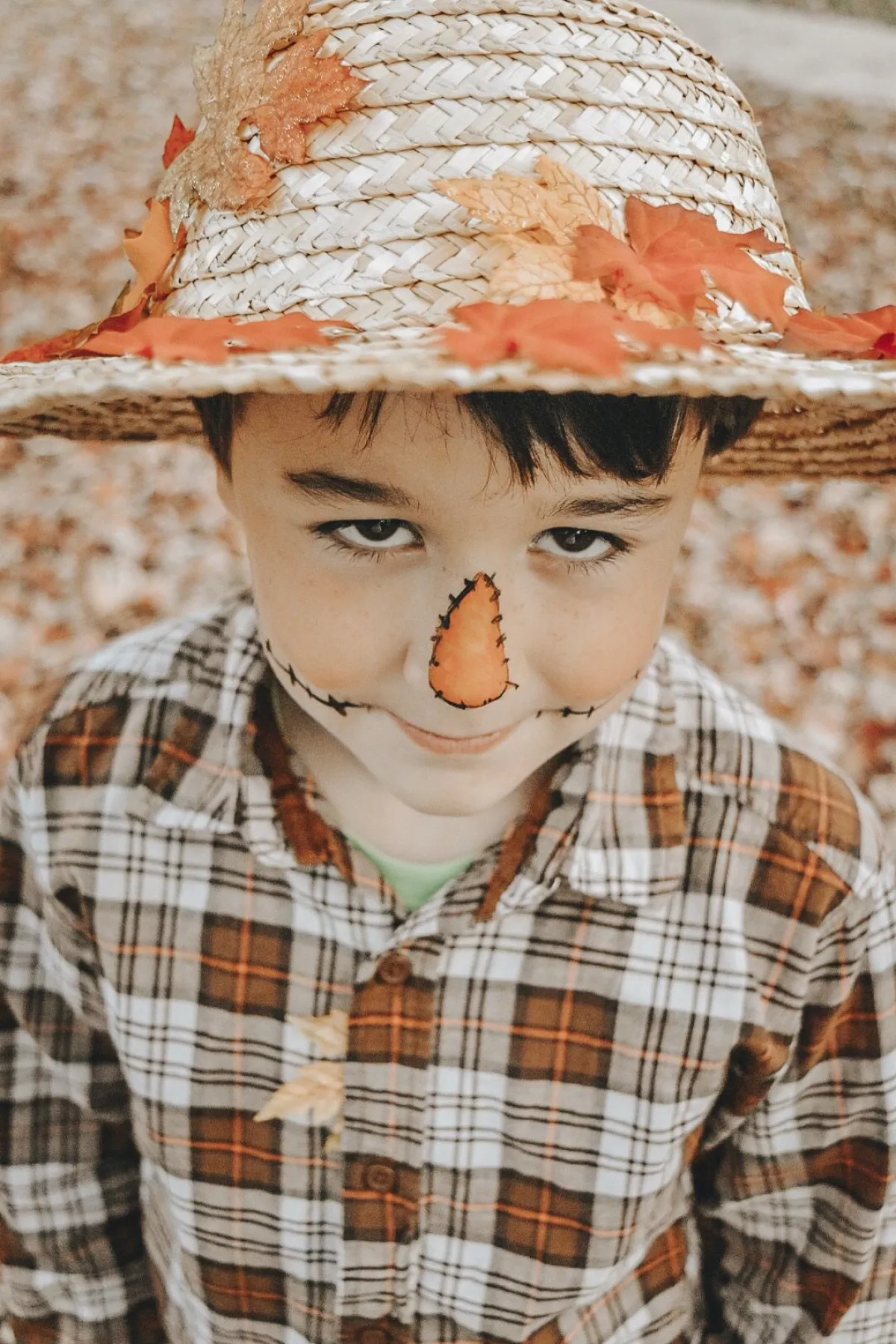 maquillaje-espantapajaros.png