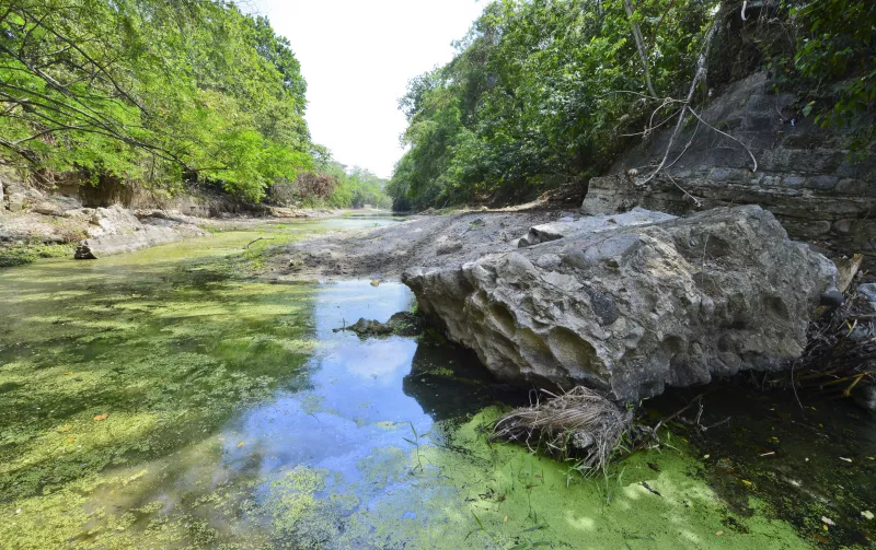 ¿En qué consiste el proyecto?