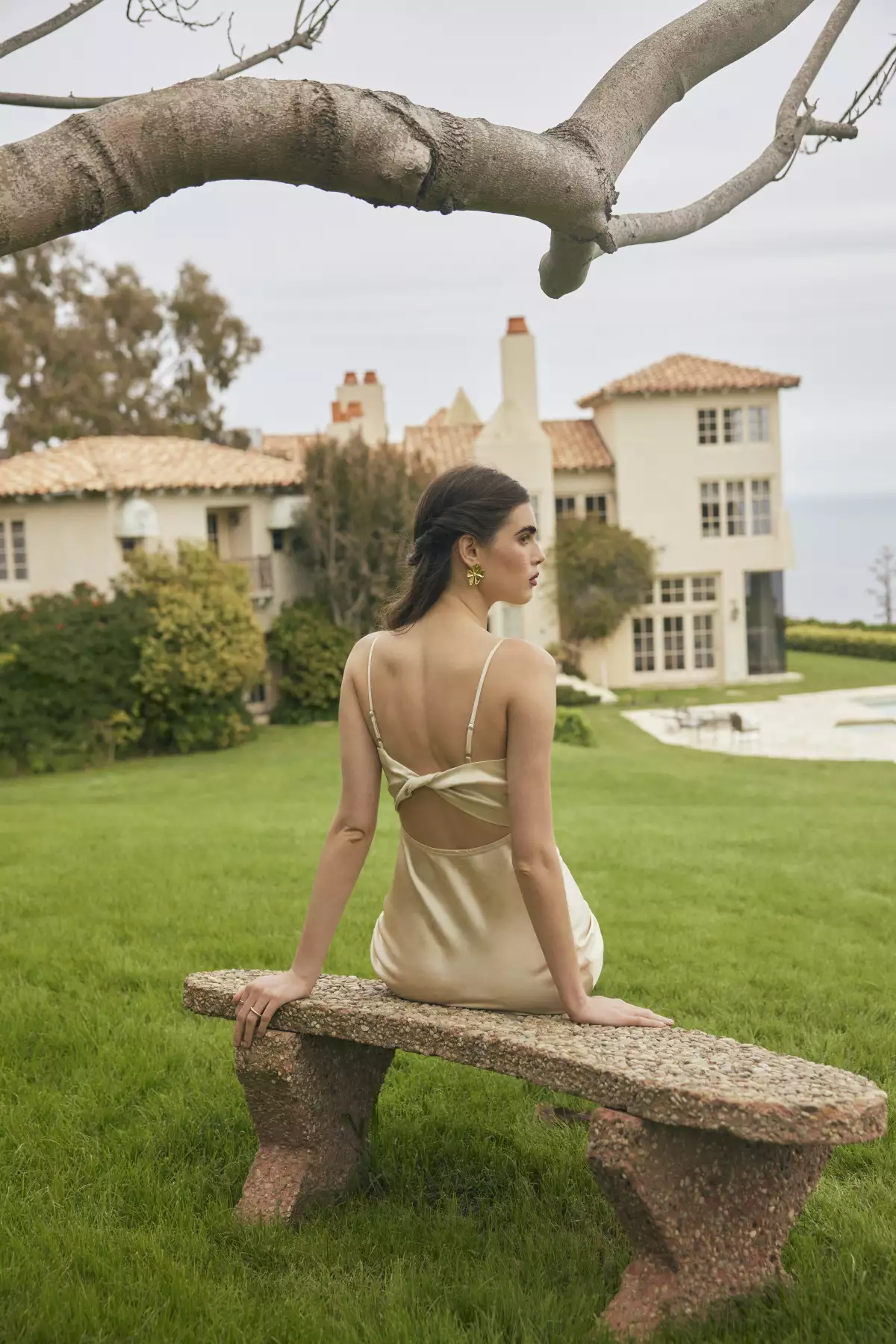 foto 2 cider celebración.jpg