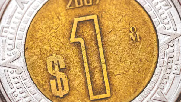 moneda de un peso