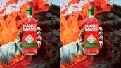 absolut-tabasco