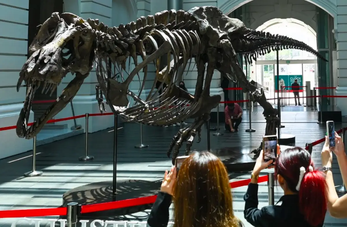 tiranosaurio-rex