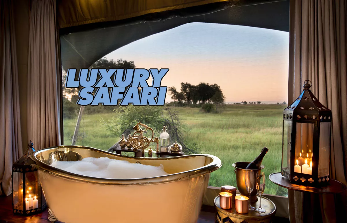 safari-de-lujo