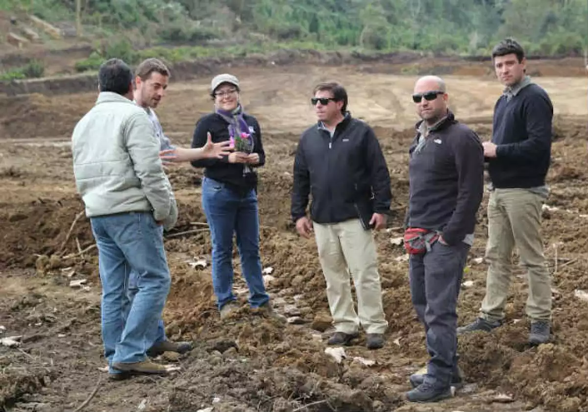 M�xico y Chile Fonhapo