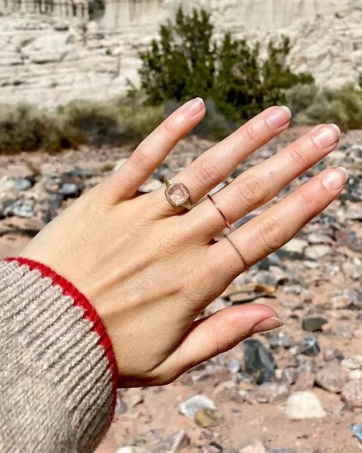 Anillo de Lily Collins