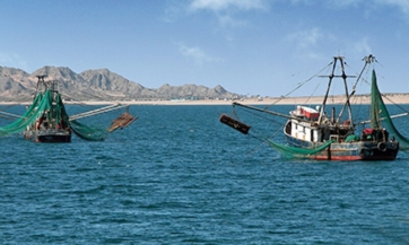 Puerto Pe�asco 2