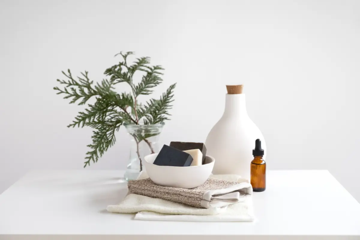 Plantas para dar un olor fresco a tu hogar 
