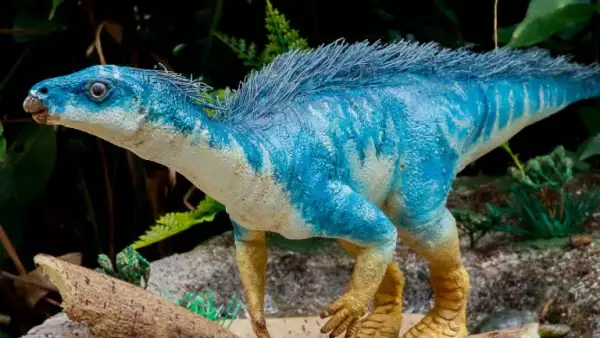 Parksosaurido El dinosaurio pertenece a la familia Parksosauridae, que fue un herbívoro.