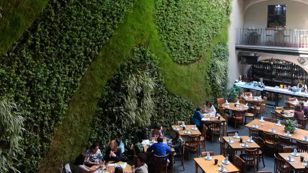 Jardín vertical y mesas con gente comiendo de The Shops at Downtown
