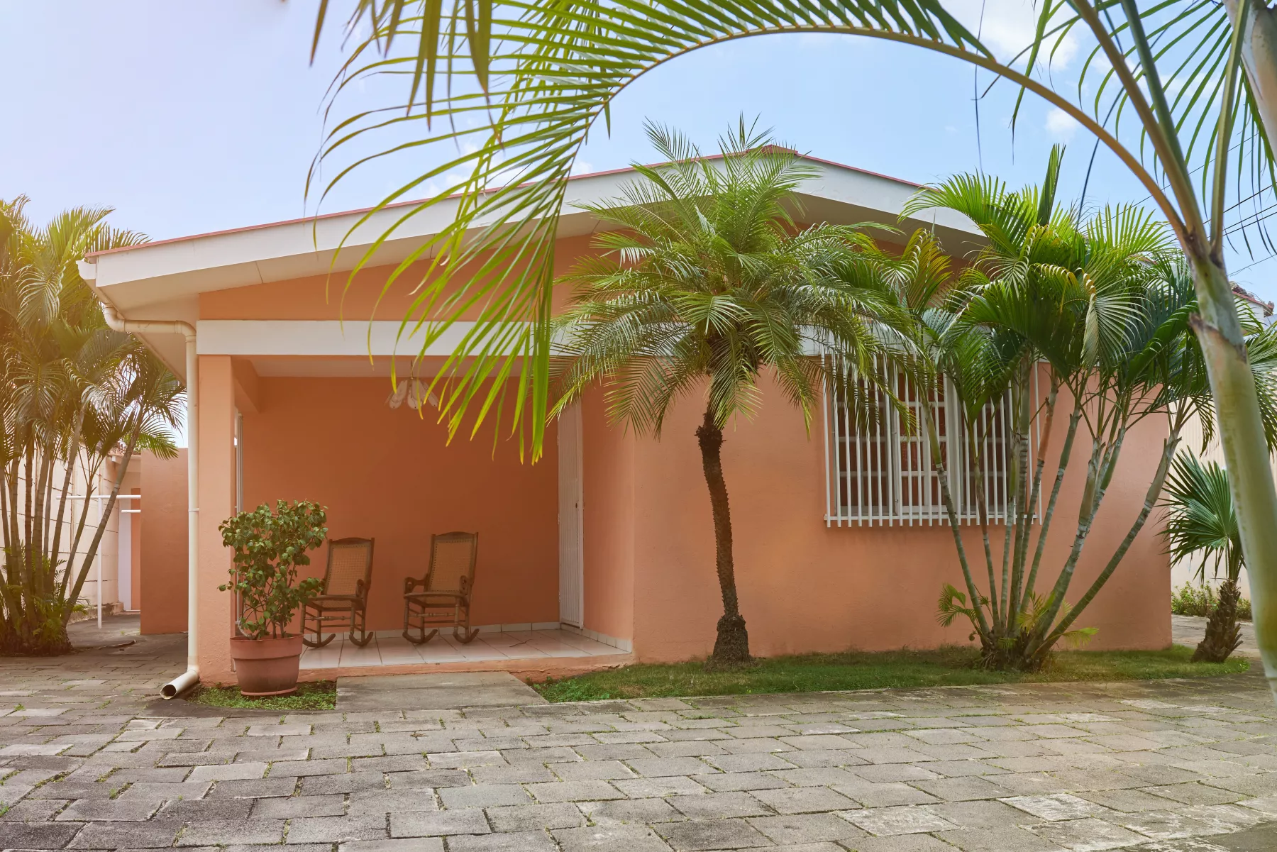 Small house with palms tree around
