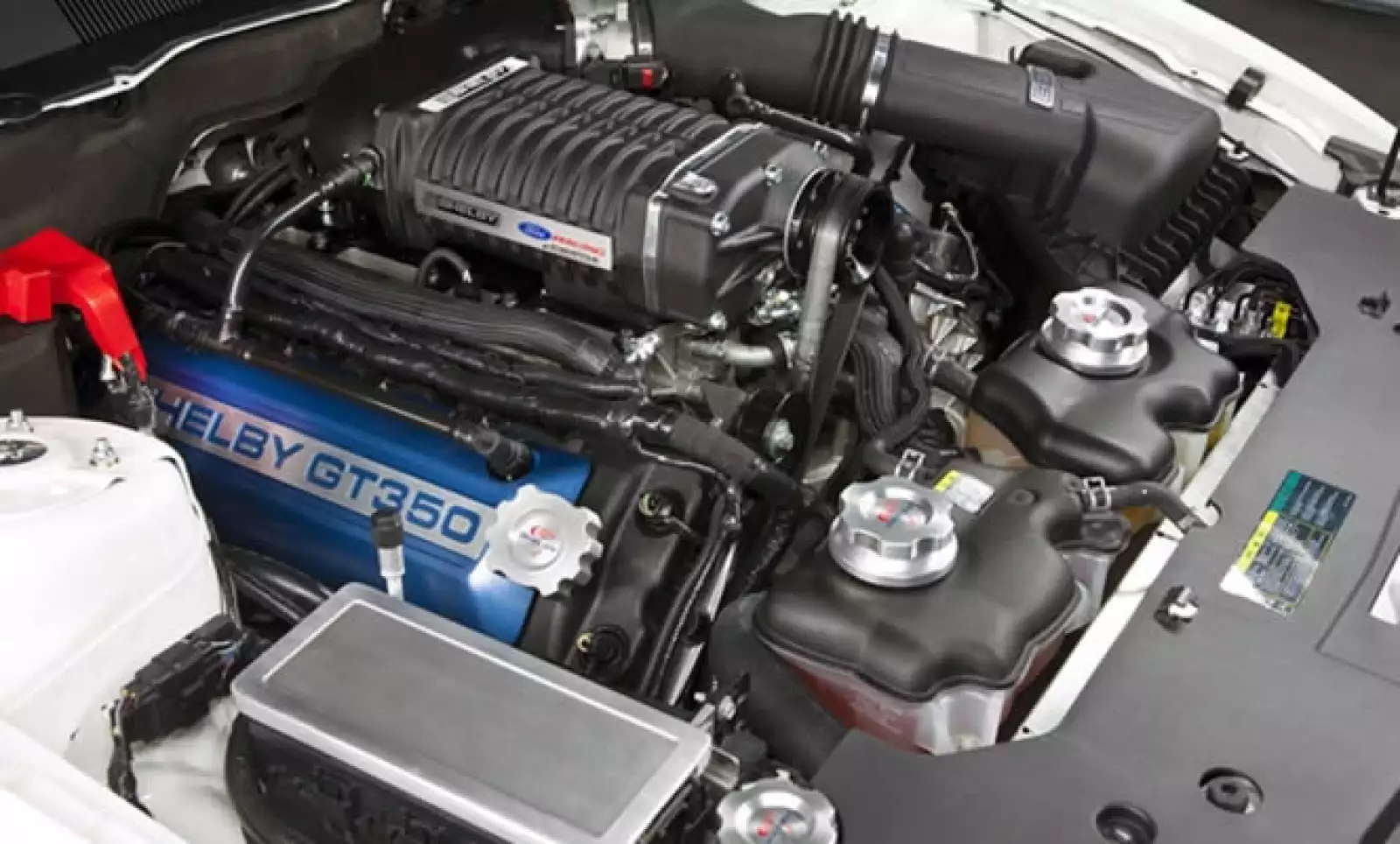 El GT350 tendrá un kit de acondicionamiento mecánico, suspensión mejorada, frenos de alto rendimiento, rines de 19 pulgadas entre otras cosas. Su costo oscilará los 65,000 dólares.