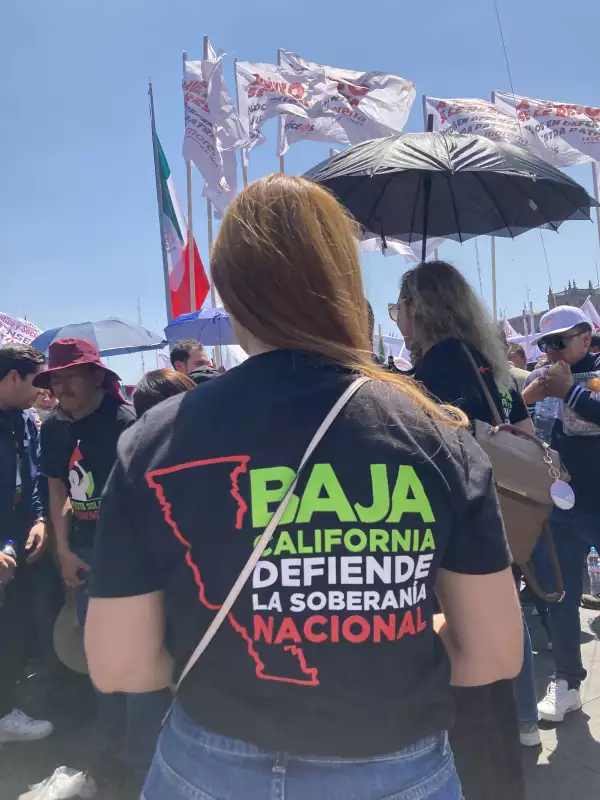 Manifestaciones en el Zócalo