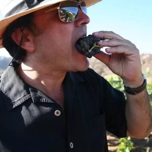 Vendimia Monte Xanic