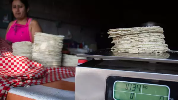 Precio de la tortilla insumos 