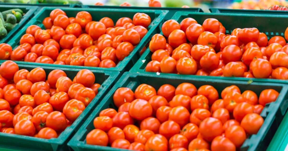 Domatesin kilosu 70 doları buluyor, neden pahalı?