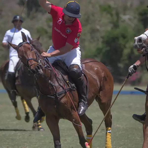 Miguel Gómez de Parada