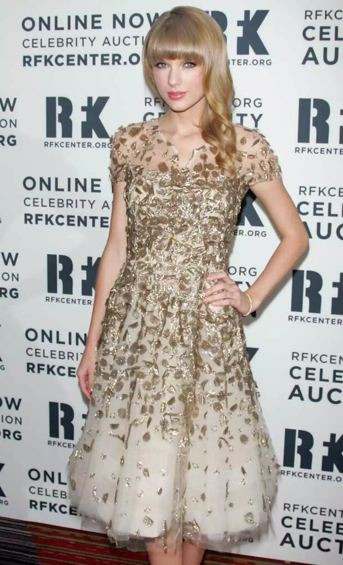Taylor se llevó el 2012 Ripple of Hope Award del Centro Robert F. Kennedy para la Justicia y los Derechos Humanos por el compromiso que siempre ha mostrado a través de su música.