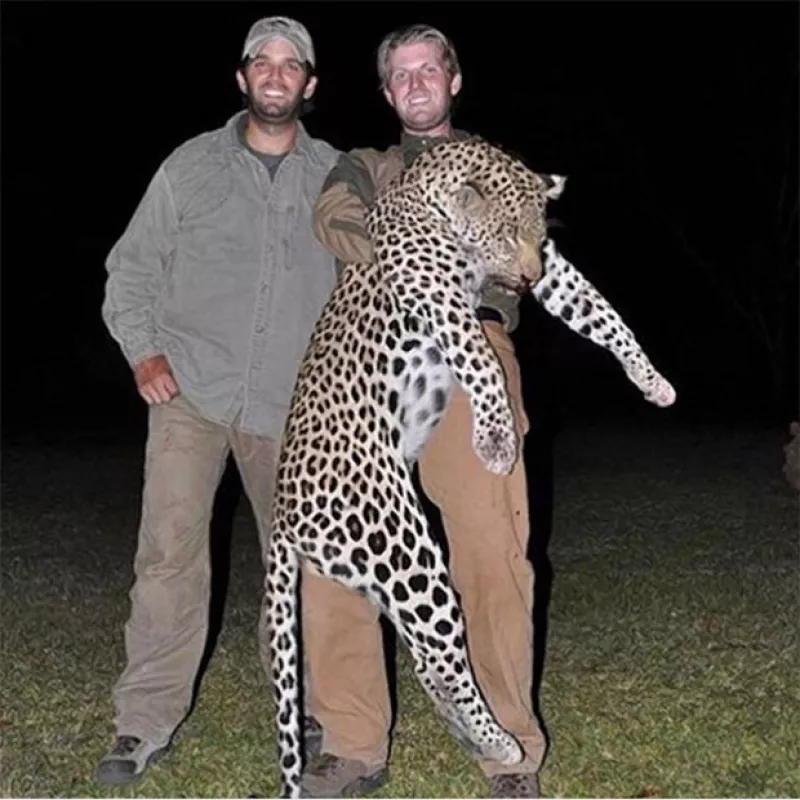 La reina del pop da otra razón para que todos los americanos voten por Hillary Clinton.