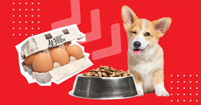 Huevo San Juan aumentará su producción, pero de croquetas 