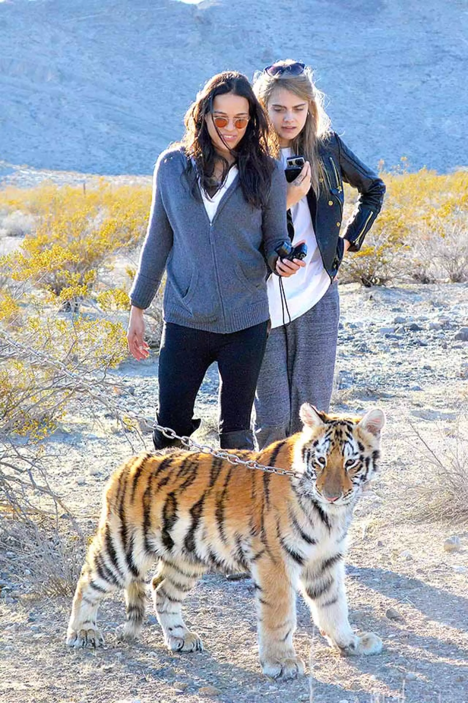 En 2014, cuando eran pareja, Cara Delevingne y Michelle Rodriguez visitaron un refugio de tigres.