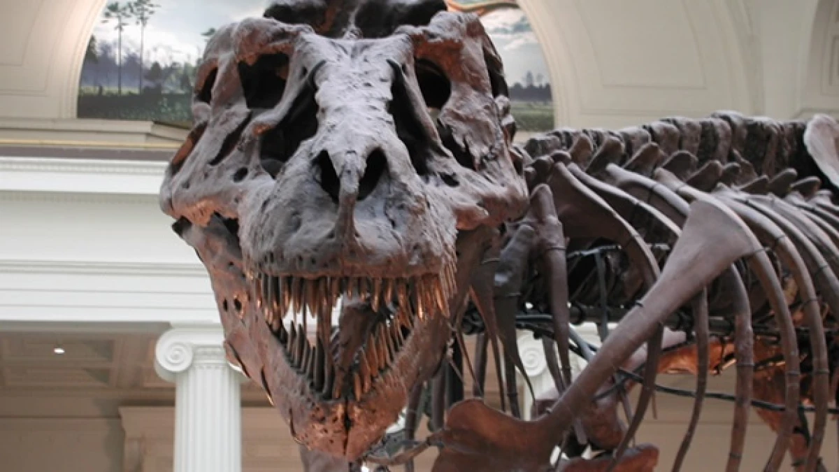 dinosaurio