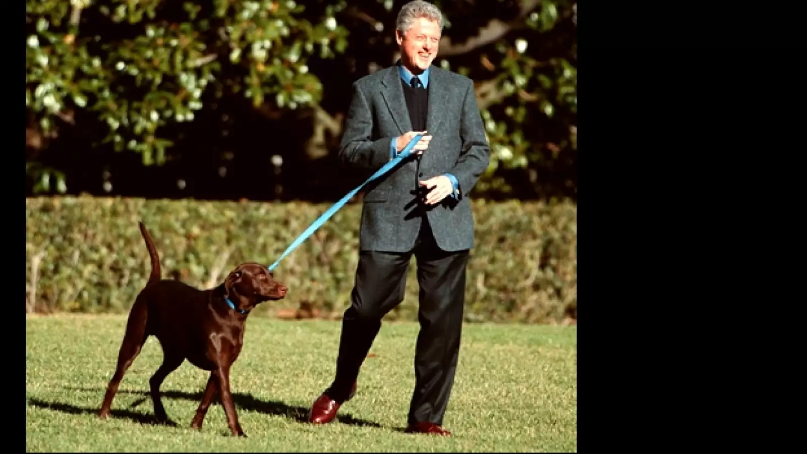 perros, presidente, eu, clinton 