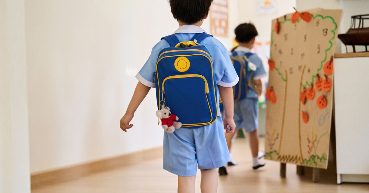 Serbestleştirmeler çıkarılabilir, ancak bu SAT gereksinimlerini karşılıyorlar