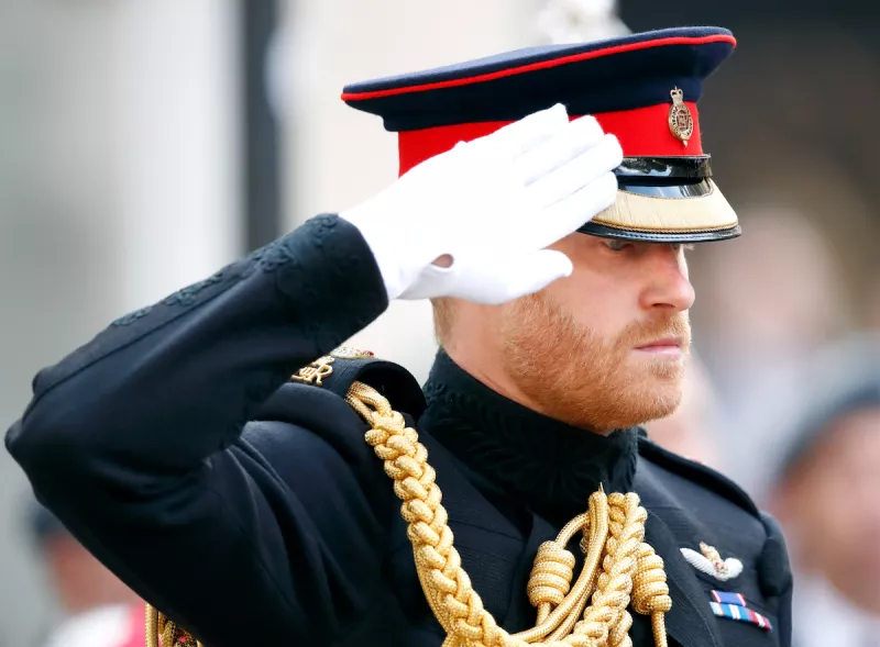 The Duke Of Sussex Visits The Field Of Remembrance At Westminster Abbey