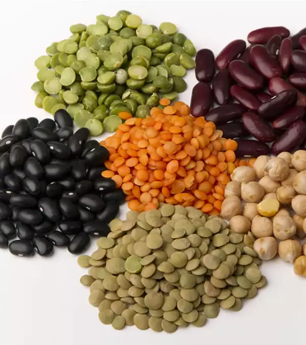 El alto contenido de fibra que se encuentra en las legumbres evitará el estreñimiento durante el embarazo.
