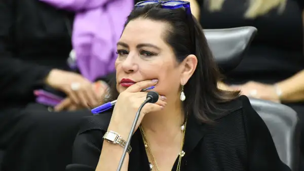 Guadalupe Taddei, consejera presidenta del Instituto Nacional Electoral (INE) durante sesión extraordinaria del consejo general del INE. 