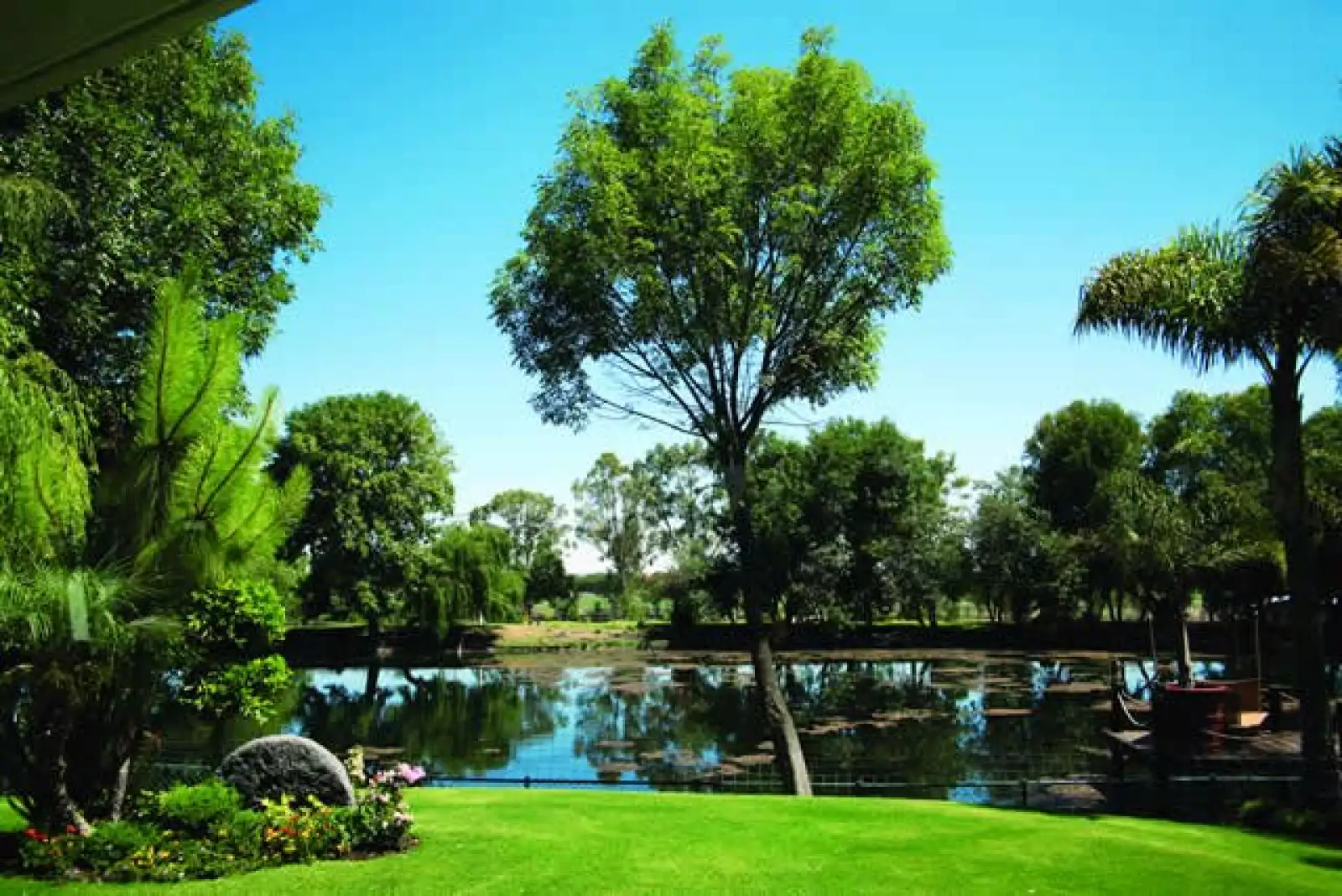 En el rancho habitan en libertad patos, venados y pavos reales, entre otras especies. En el enorme lago hay una amplia variedad de coloridos peces.