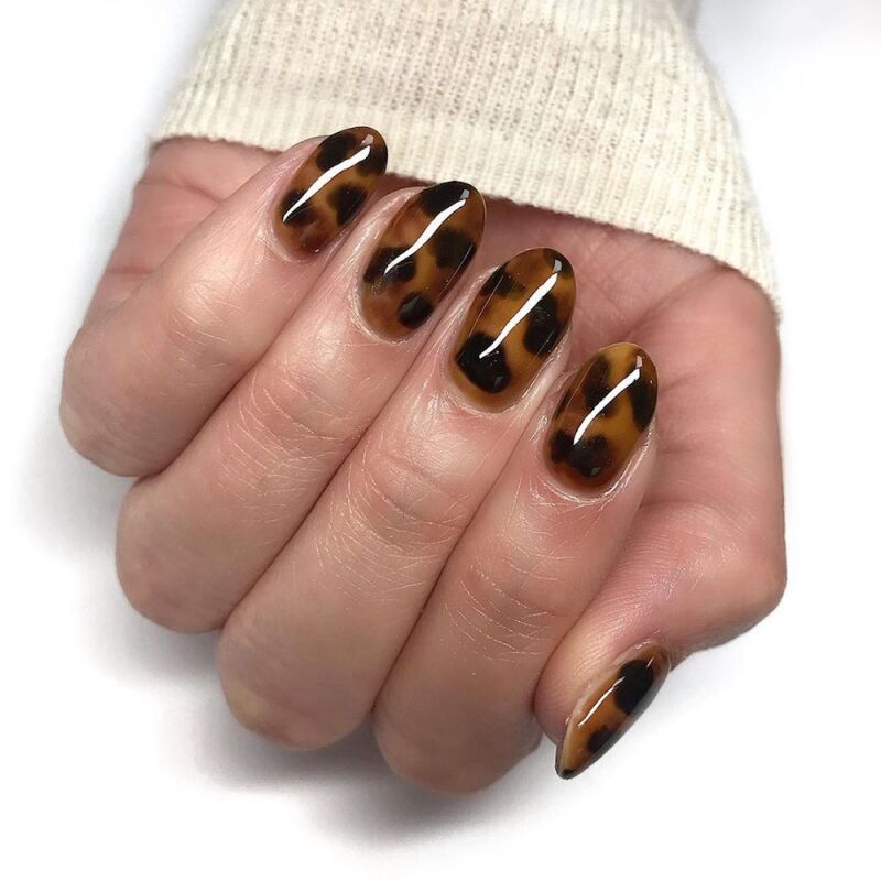 tortoiseshell.jpg