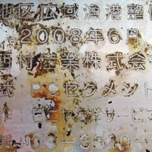 muelle tsunami japon