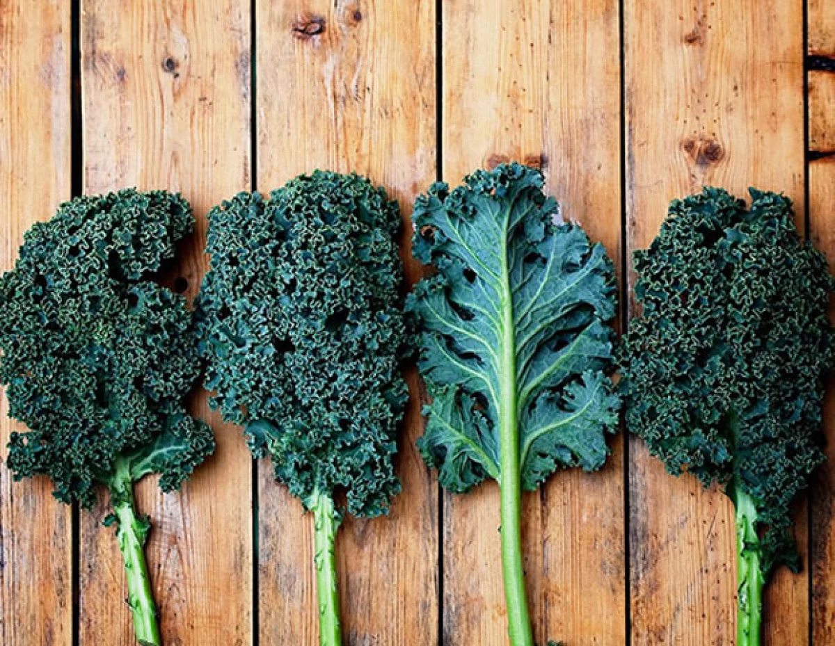 Es posible alimentarte de manera sana y con poca cantidad. ¿Cómo? Conoce a las superfoods y sus extraordinarios beneficios.