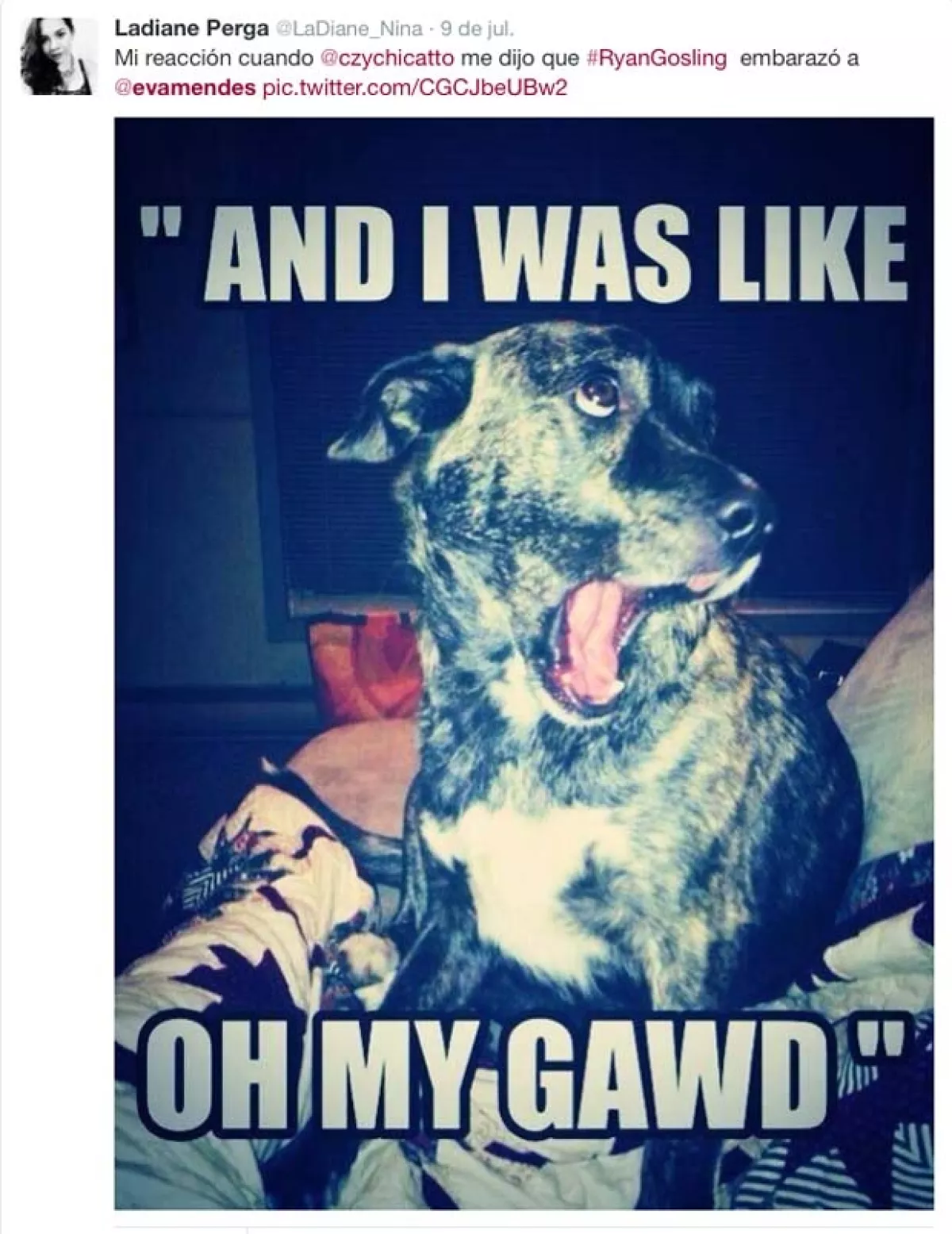 Las reacciones incluyen memes y graciosas imágenes de sorpresa.