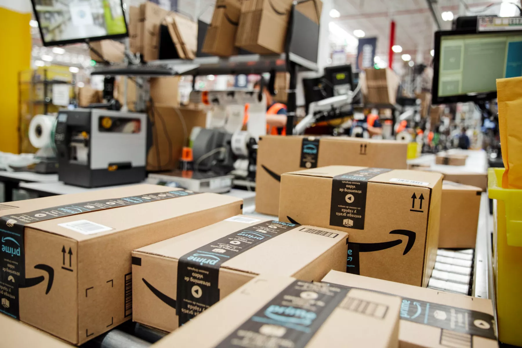 amazon.jpg