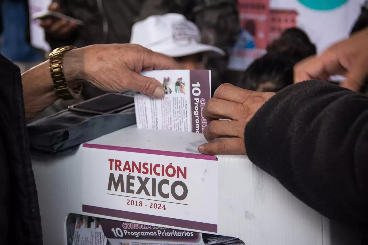 Consulta