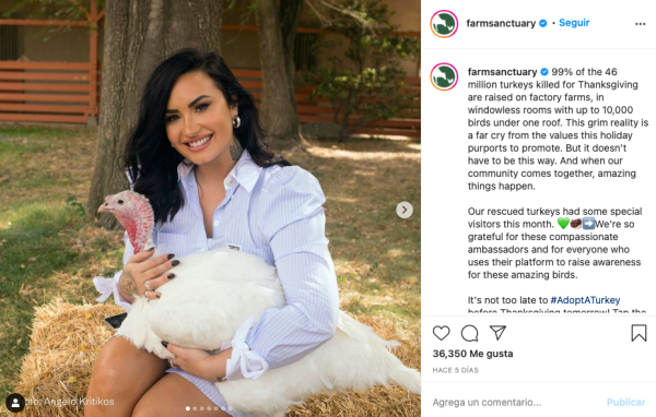 Demi Lovato