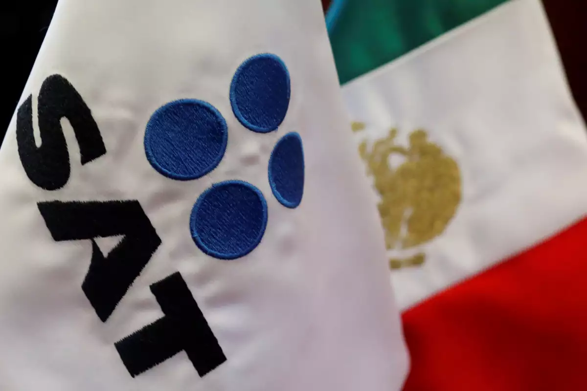 ¿Cuánto tarda el SAT en devolver el saldo a favor de tu declaración de impuestos?
