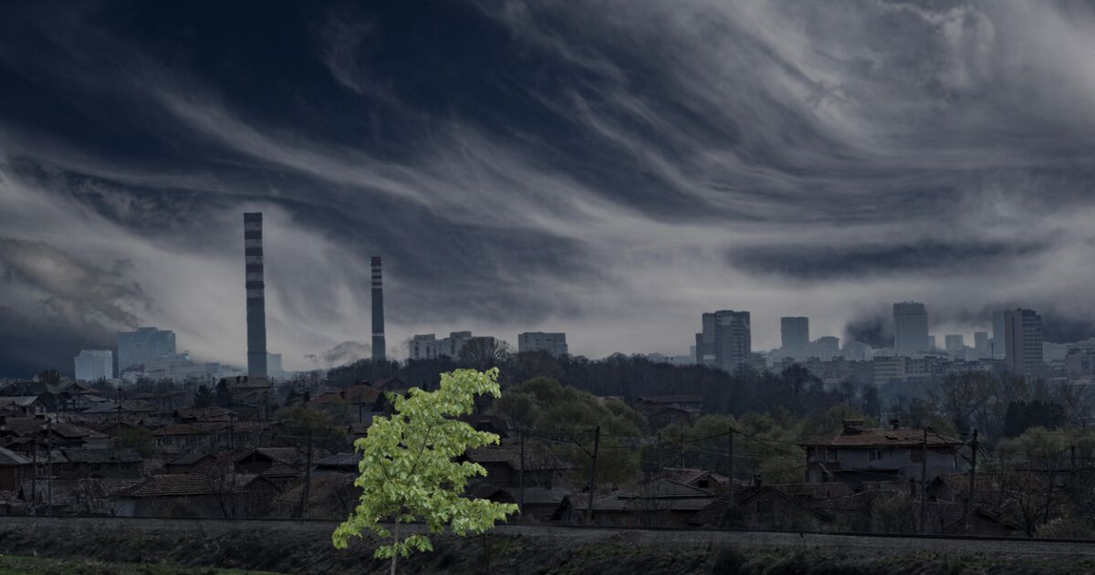 Meksika'nın kıyıya yakın bölgesi yeşil olmalı, yoksa olmayacak