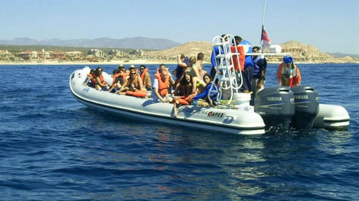 ballena accidente mata a turista